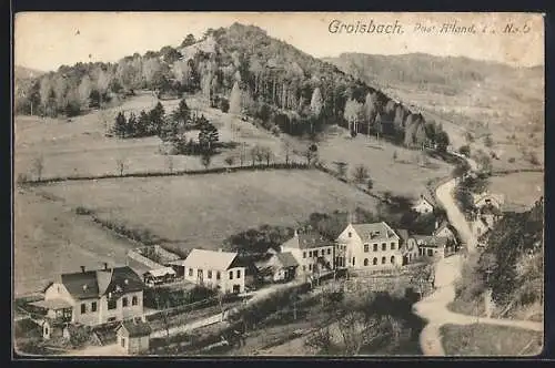 AK Alland, Groisbach mit Strasse und Feldern aus der Vogelschau