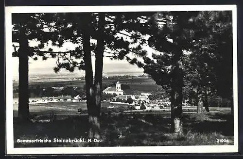 AK Steinabrückl /N.-Ö., Ortsansicht zwischen Bäumen hindurch