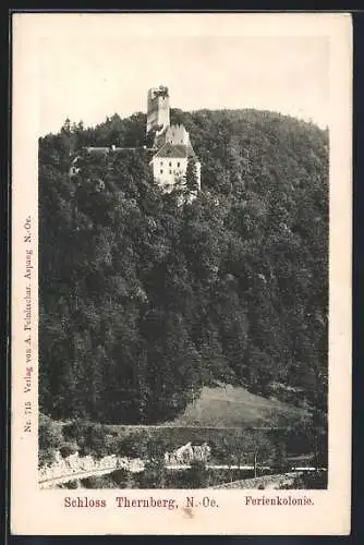 AK Scheiblingkirchen-Thernberg, Blick auf Schloss Thernberg