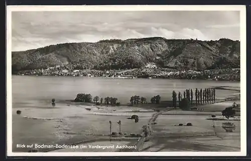 AK Bodman, Panorama mit Aachhorn