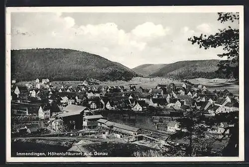 AK Immendingen a. d. Donau, Ortsansicht mit Umgebung