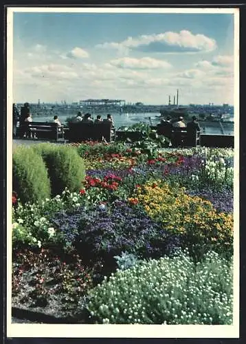 AK Hamburg, Gartenbau-Ausstellung 1953, Elbwanderweg