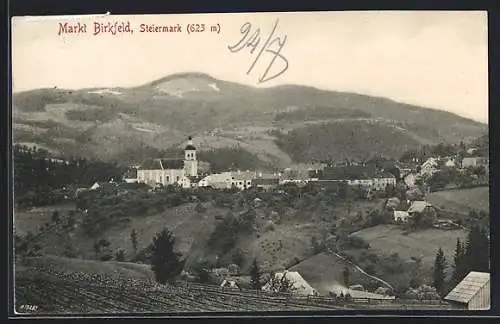 AK Birkfeld, Ortsansicht mit Kirche