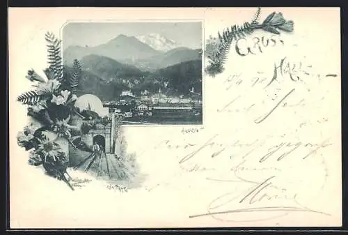 Lithographie Hallein, Ortsansicht, Einfahrt