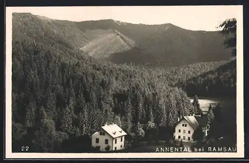 AK Ramsau /N.-Oe., Annental mit Wald und Bergen aus der Vogelschau