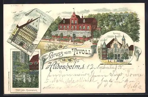 Lithographie Hildesheim, Gasthaus Tivoli, Rathaus, Knochenhauer-Amts-Haus