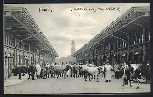 AK Hamburg-St.Pauli, III. Mastviehausstellung 1908, Hauptstrasse vom Zentral-Schlachthof