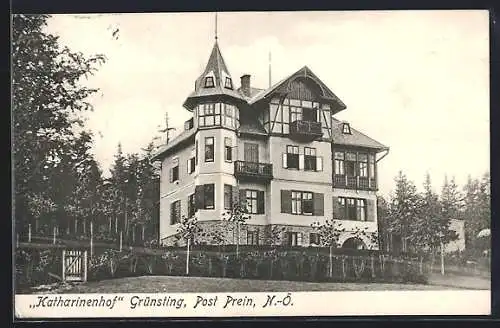 AK Reichenau an der Rax, Grünsting, Gasthaus Katharinenhof mit Garten