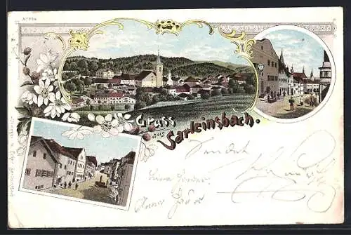 Lithographie Sarleinsbach, Strassenpartien mit Passante, Ortsansicht aus der Vogelschau