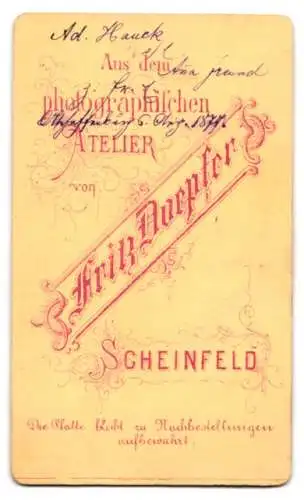 Fotografie Fritz Doepfer, Scheinfeld, Student Ad. Hauck im Anzug mit Couleur, 1877