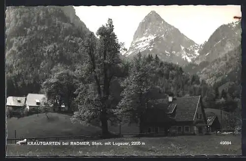 AK Radmer, Haus am Krautgarten