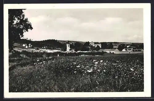 AK Habrowan, Ortsansicht aus der Ferne