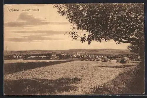 AK Vyskov, Celkový pohled