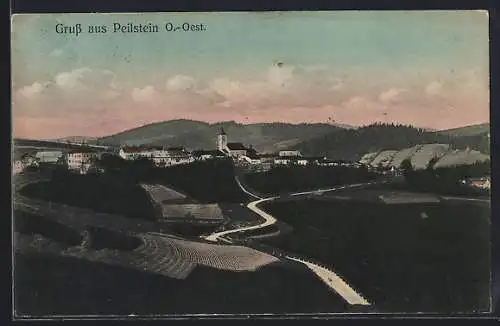 AK Peilstein /Ob.-Oest., Ortsansicht mit Landstrasse