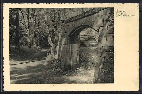 AK Landau / Pfalz, Waldpartie mit alte Fortmauern