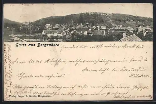 AK Bergzabern, Panorama der Ortschaft