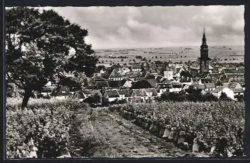 AK Grünstadt / Weinstrasse, Teilansicht mit Kirche