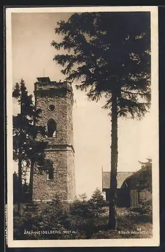 AK Zaly /Krkonose, Heidelberg-Aussichtsturm mit Häusern