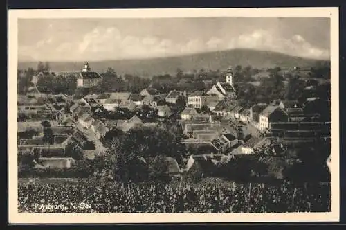 AK Poysdorf, Poysbrunn, Ortsansicht mit Schloss und Kirche