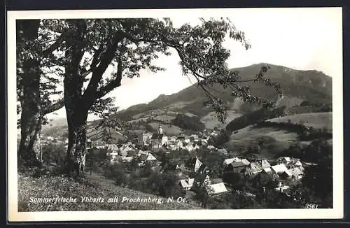 AK Ybbsitz /N.-Ö., Ortsansicht mit Pochenberg