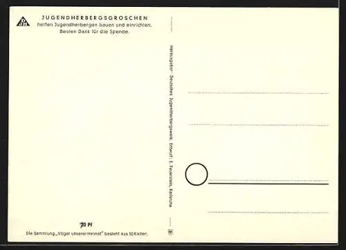 Künstler-AK Kiebitz (Vögel unserer Heimat)