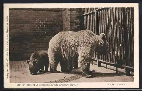 AK Berlin, Bärin mit Jungem im Zoologischen Garten