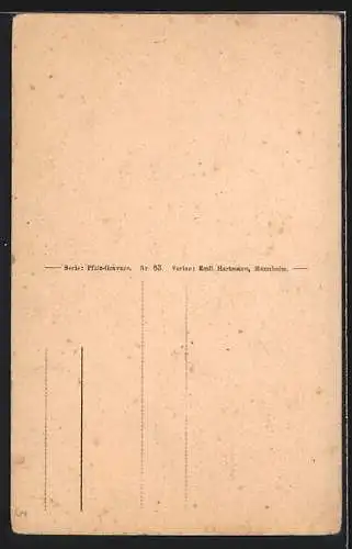 AK Erlenbach /Pfalz, Blick auf Berwartstein