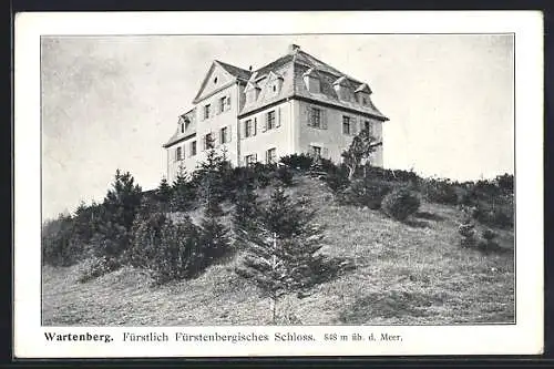 AK Geisingen, Wartenberg, Fürstlich Fürstenbergisches Schloss