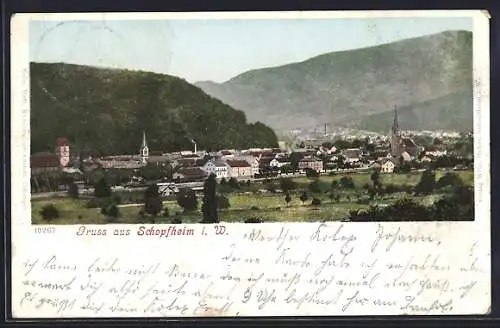 AK Schopfheim i. W., Blick auf den Bahnhof