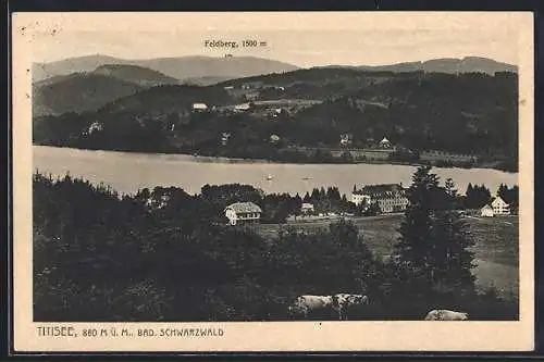 AK Titisee, Gesamtansicht mit See und Feldberg