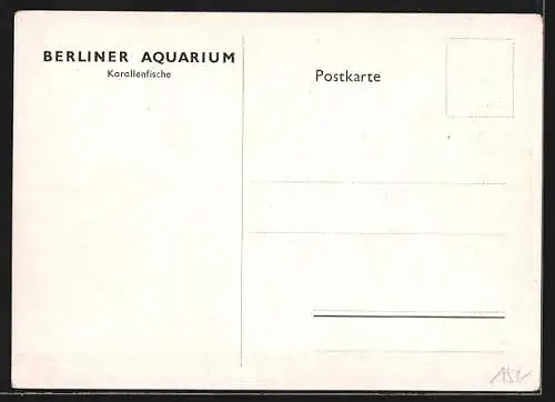 AK Berliner Aquarium, Korallenfische