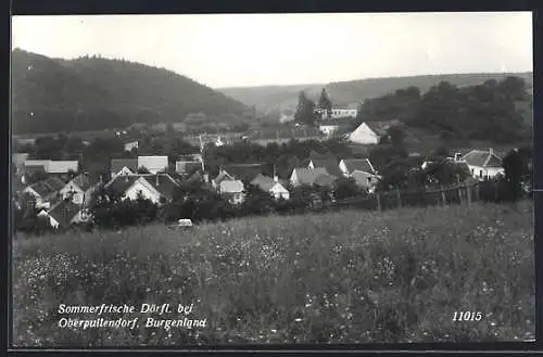 AK Steinberg-Dörfl, Dörfl von der Blumenwiese aus gesehen