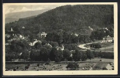 AK Sauerbrunn /Niederdonau, Panorama mit Strassenpartie