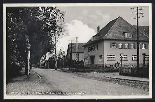 AK Wittingen, Bahnhofstrasse mit Viehverwertungsgenossenschaft