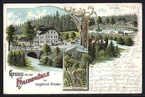 Lithographie Langebrück-Dresden, Gasthaus Haidemühle, Wald-Terrasse und Ententeich