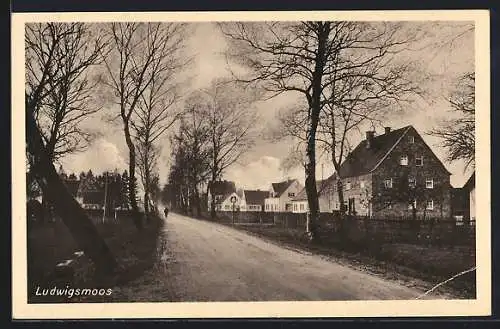 AK Ludwigsmoos, Strassenpartie mit Graben