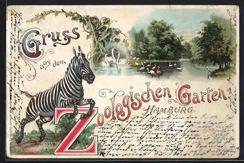 Lithographie Hamburg, Zebra, Flamingos und Schwäne im Zoologischen Garten