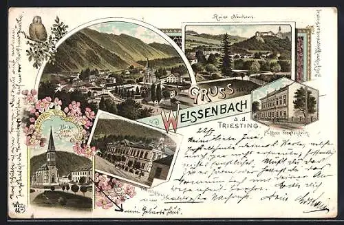 Lithographie Weissenbach an der Triesting, Ortsansicht von oben, Ruine Neuhaus, Fuggers Fremdenheim