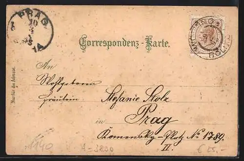 Lithographie Waidhofen a/d Thaya, Hôtel zum gold. Löwen, Dreifaltigkeitssäule