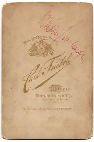 Fotografie Atelier Triebel, Wien, kleiner Knabe Walter Simhug zum Jahreswechsel mit Schärpe: Prosit Neu Jahr, Kostüm