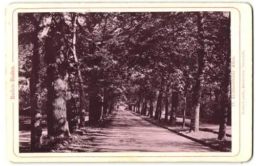 Fotografie Heinrich Lautz, Darmstadt, Ansicht Baden-Baden, Blick entlang der Lichtenthaler Allee