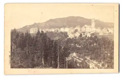 Fotografie Joh. Mettler, St. Gallen, Ansicht Heiden, Blick vom Wald nach der Stadt