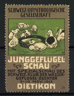 Reklamemarke Dietikon, Junggeflügelschau, Enten mit Wasserbecken, 1913