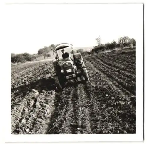 210 Fotografien Werkfotos, Ansicht Aulendorf / Oberschwaben, HELA Schlepperfabrik Hermann Lanz, Traktor - Fabrikation