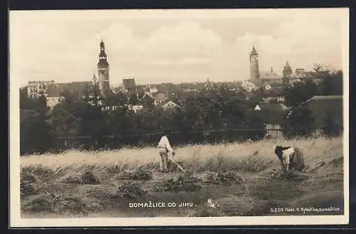 AK Domazlice, Domazlice od Jihu, Bauern auf dem Feld vor der Stadt