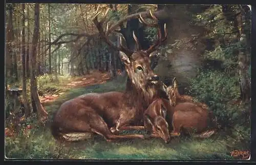 Künstler-AK A. Jiras: Hirsch mit Hirschkuh und Kitz