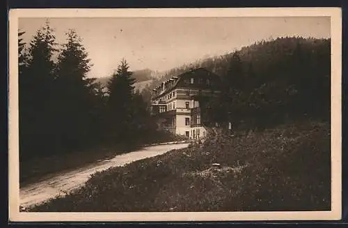 AK Spitzberg /Böhmerwald, Weg zum Hotel Rixi