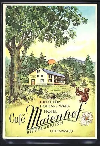 AK Siedelsbrunn i. Odw., Hohen- u. Waldhotel Café Maienhof, Ansicht mit Eichhörnchen