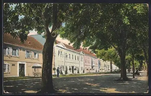 AK Karlovac, Setaliste