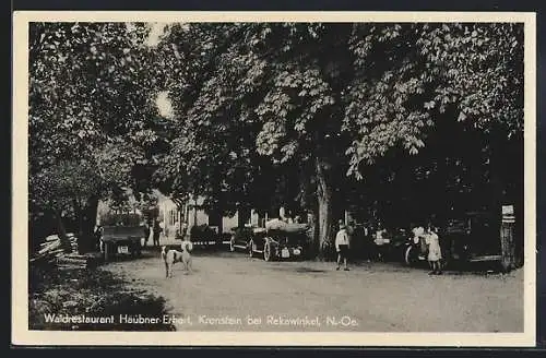 AK Sieghartskirchen, Kronstein, Waldrestaurant Haubner Erhart, parkende Autos, Hund auf der Strasse